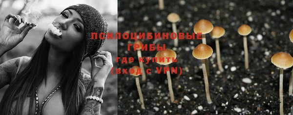 PSILOCYBIN Абинск
