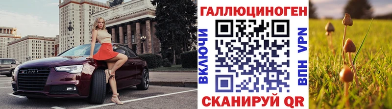 Псилоцибиновые грибы Cubensis  где продают   Шахунья 